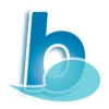 Byki 4.0